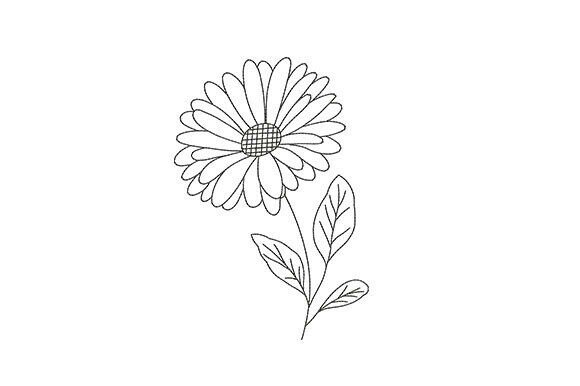Daisy Flower Botanical