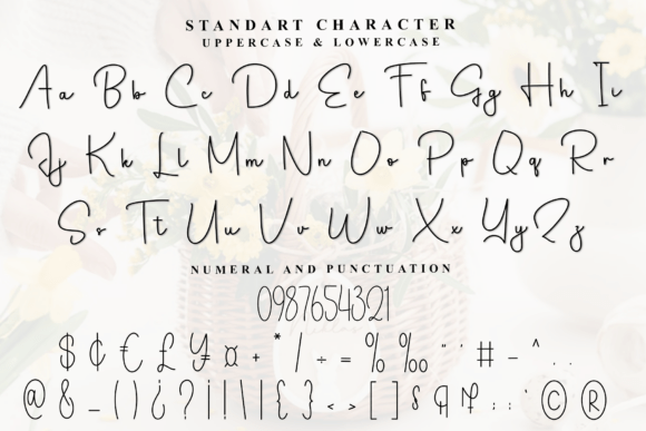 Elegant Document Font - Preview 6