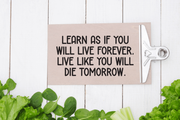 Jungle Wintersnow Font PNG with transparent background - Preview 2