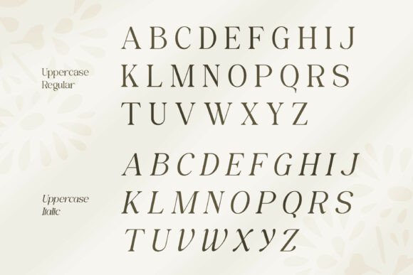 Romes Dawn Font PNG with transparent background - Preview 6
