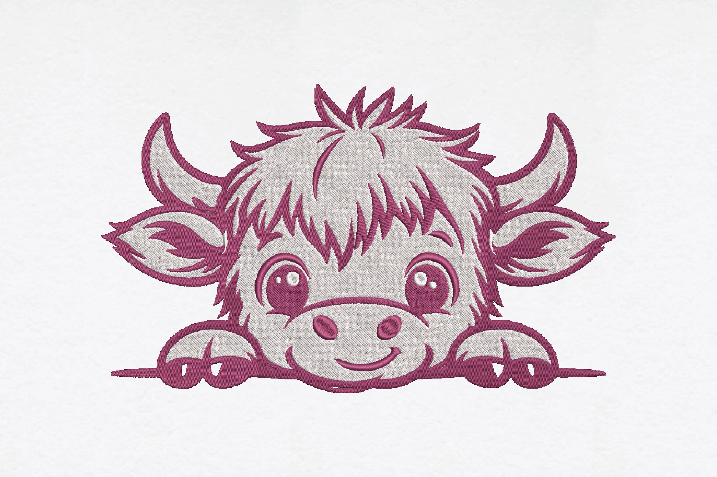 Cute Highland Cow