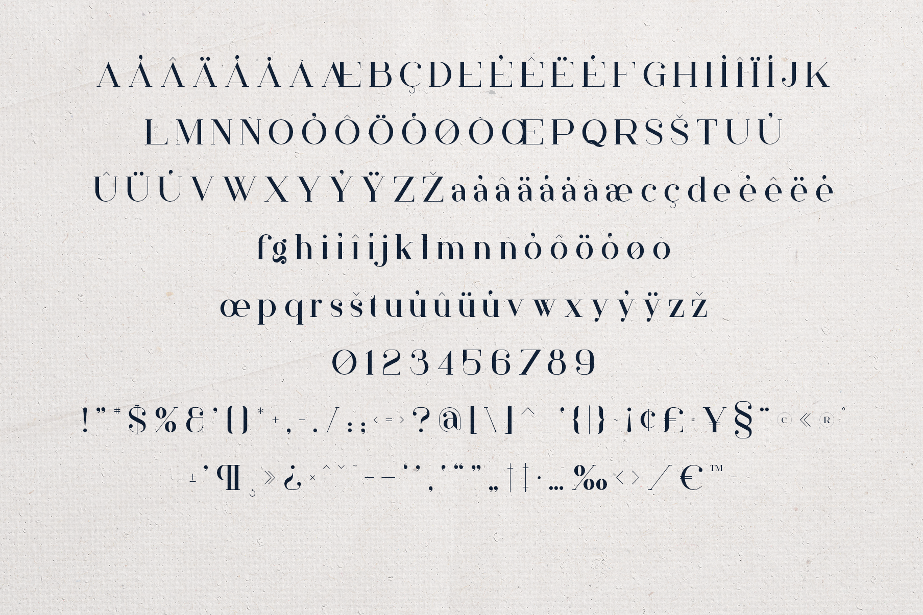 Papillon Serif – Elegant Modern Luxury Font - photo 5