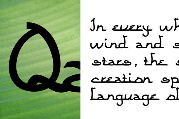 Qamarina Font PNG with transparent background - Preview 1