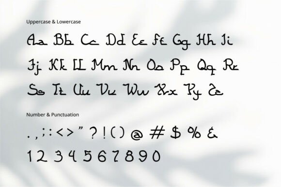 Qamarina Font PNG with transparent background - Preview 2