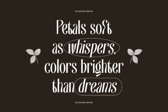 Brylliant Font - Preview 2
