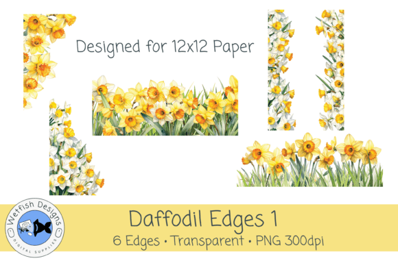 Daffodil Clipart PNG Edges 1
