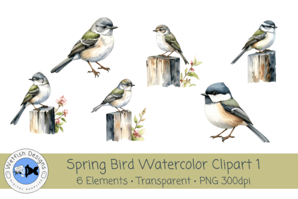 Spring Birds PNG Watercolor Clipart 1