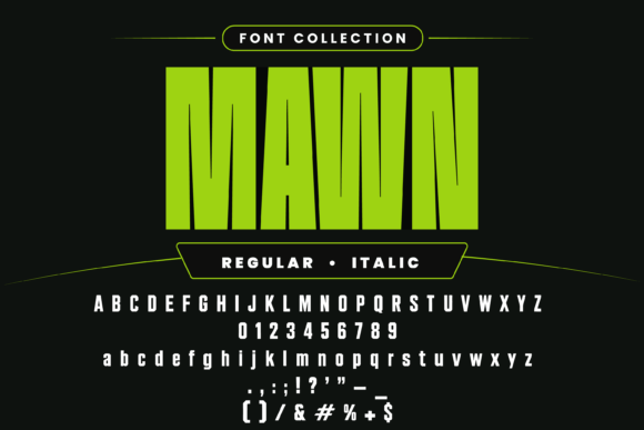 Condensed Collection – 10 Tall Set Font - Preview 4