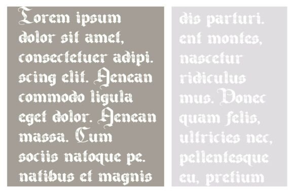 Canton Bloom Family Font - Preview 3