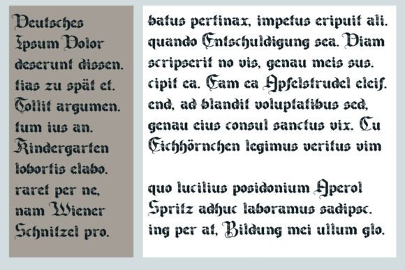 Canton Bloom Family Font - Preview 6