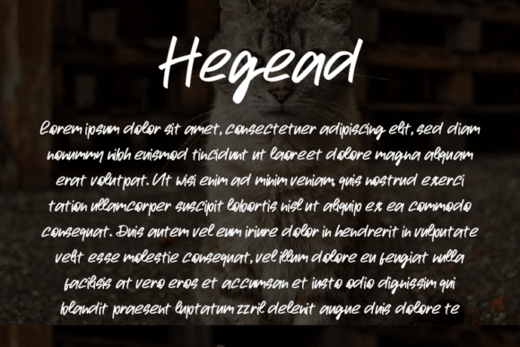 Hegead Font - Preview 2