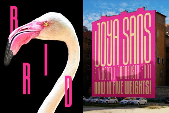 Joya Sans Font - Preview 1