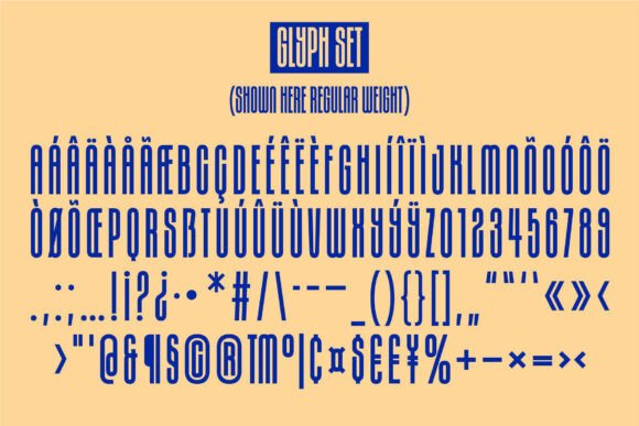 Joya Sans Font - Preview 6