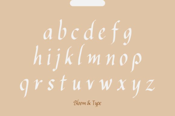 Bhanuteja Font - Preview 6