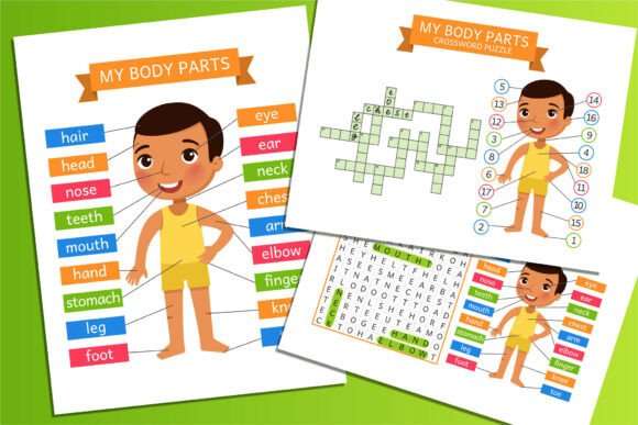 My Body Parts. Educational Flashcards Graphic by ValinMalin · Creative ...