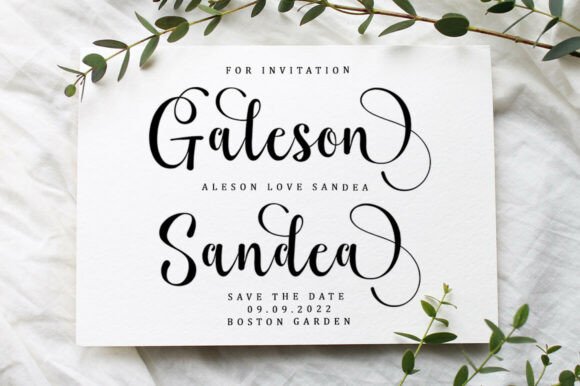 Bahgila Font - Preview 1