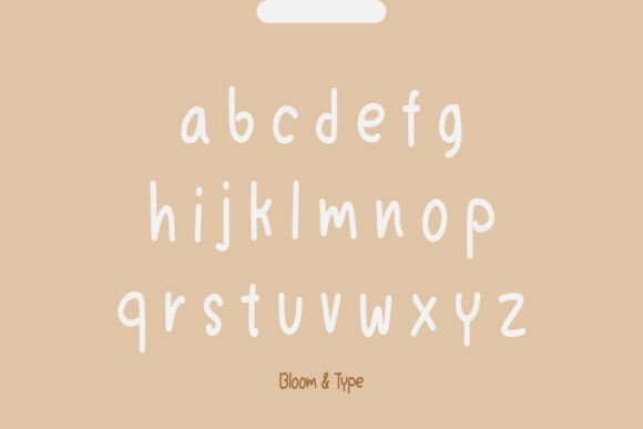 Bodina Font - Preview 4