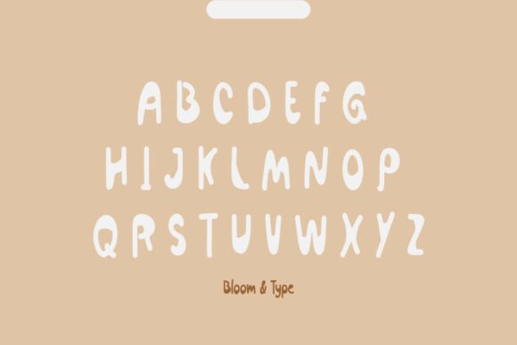 Bodira Font - Preview 2