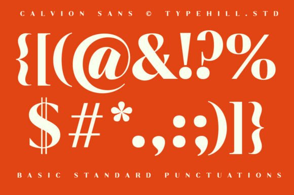 Calvion Sans Font - Preview 4