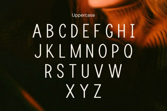 Linova Font PNG with transparent background - Preview 5