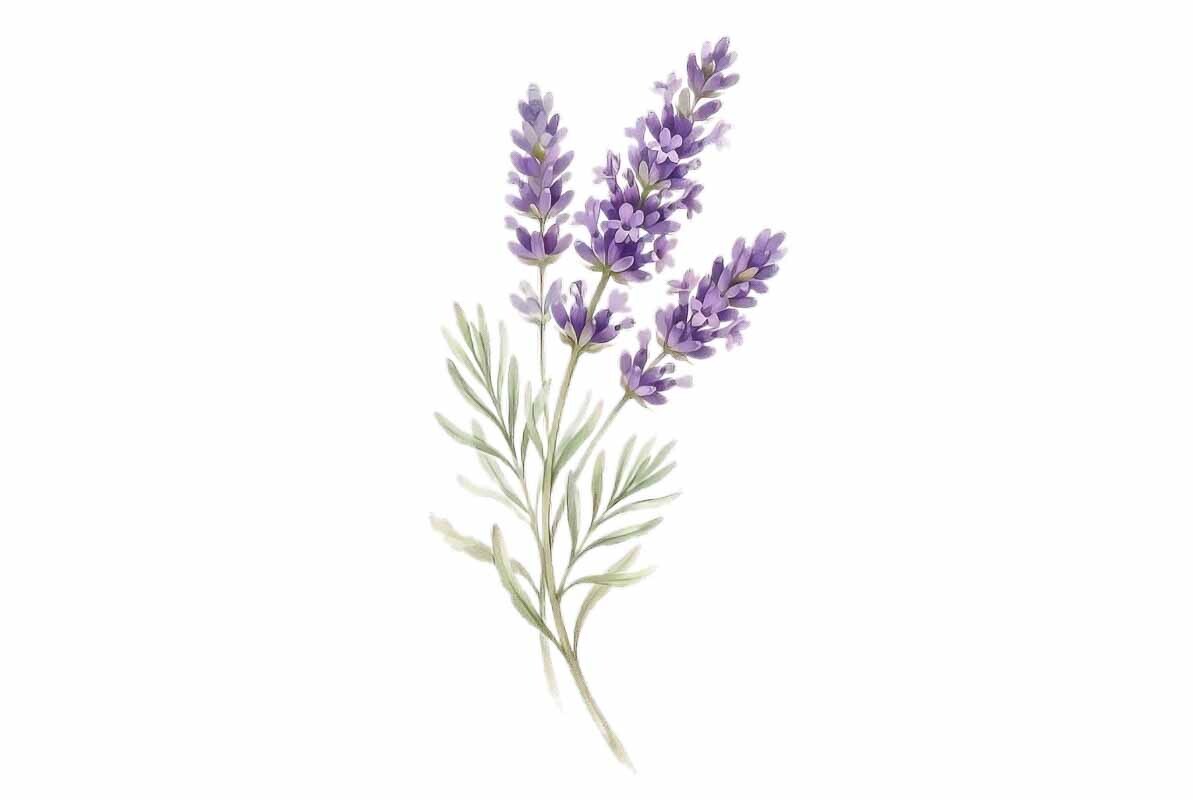 Lavender Branch Mother's Day Clipart