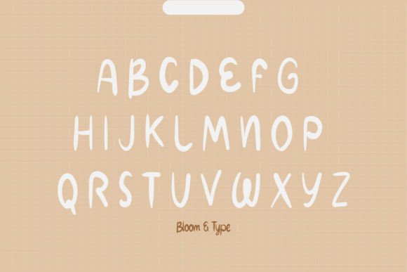 Bodienne Font - Preview 2