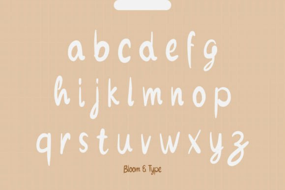 Bodienne Font - Preview 6