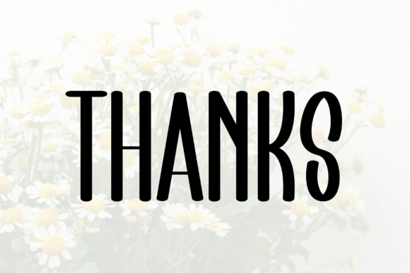 Farmhouse Font - Preview 4