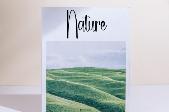Ophelian Font PNG with transparent background - Preview 2