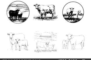 Angus Cow Calf SVG PNG Bundle Graphic by Embro Queens · Creative Fabrica