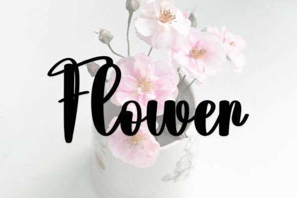 Damsel Font - Preview 1