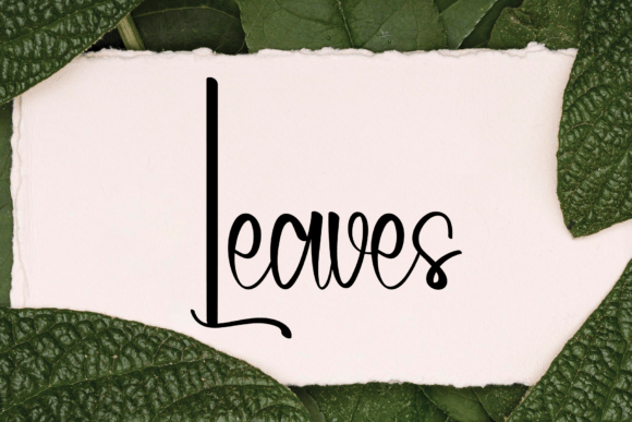 Honeysuckle Font - Preview 3