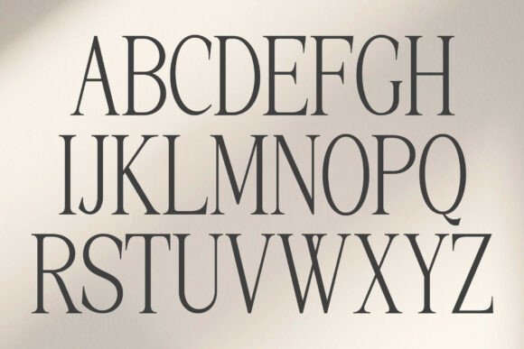 Palmorine Font PNG with transparent background - Preview 5
