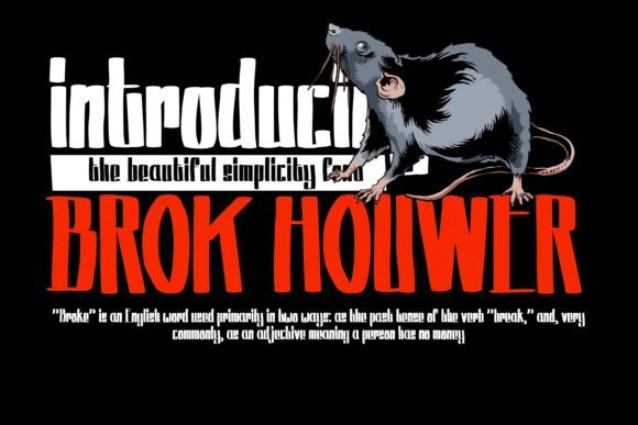 Brok Houwer Font - Preview 4