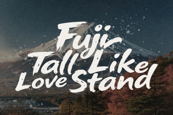 Cleju Bibsha Font - Preview 1