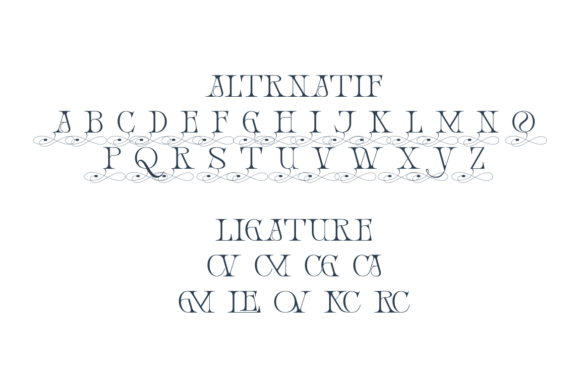 Coverces Font - Preview 2
