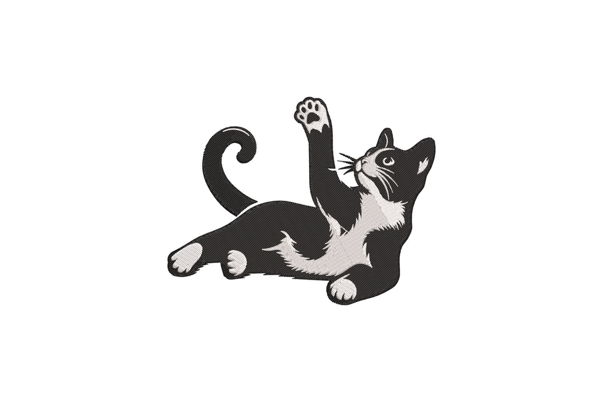 Funny Cat Laying Down