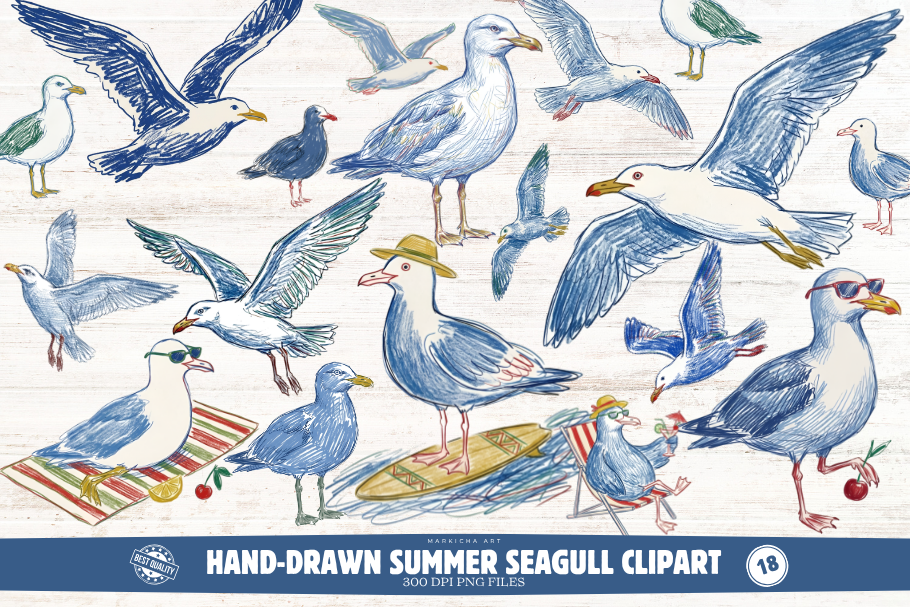 Hand-Drawn Summer Seagull Clipart Graphic by Markicha Art · Creative ...