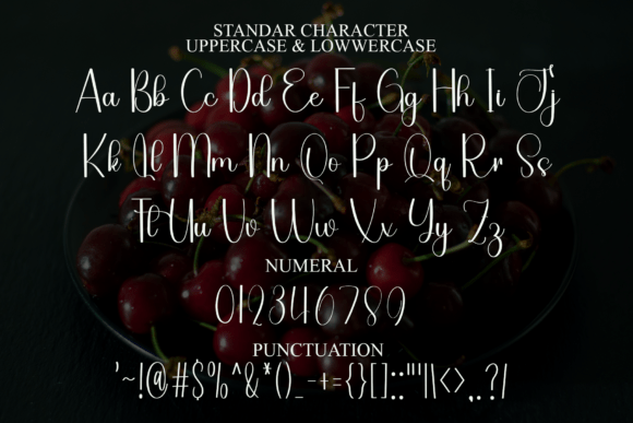 Belgia Autography Font - Preview 6