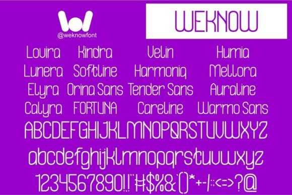 Hidden Beauty Font - Preview 4