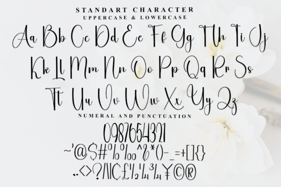 Alignment Font - Preview 3