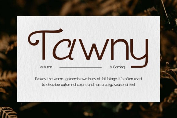 Benomore Font - Preview 2