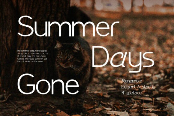 Benomore Font - Preview 4