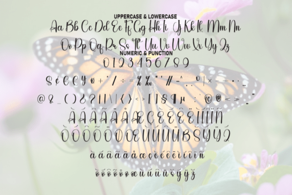 Butterfly Font - Preview 6