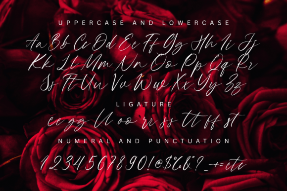Camalla Rose Font - Preview 1