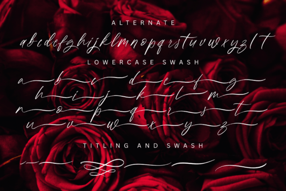 Camalla Rose Font - Preview 2