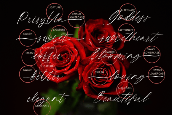Camalla Rose Font - Preview 3