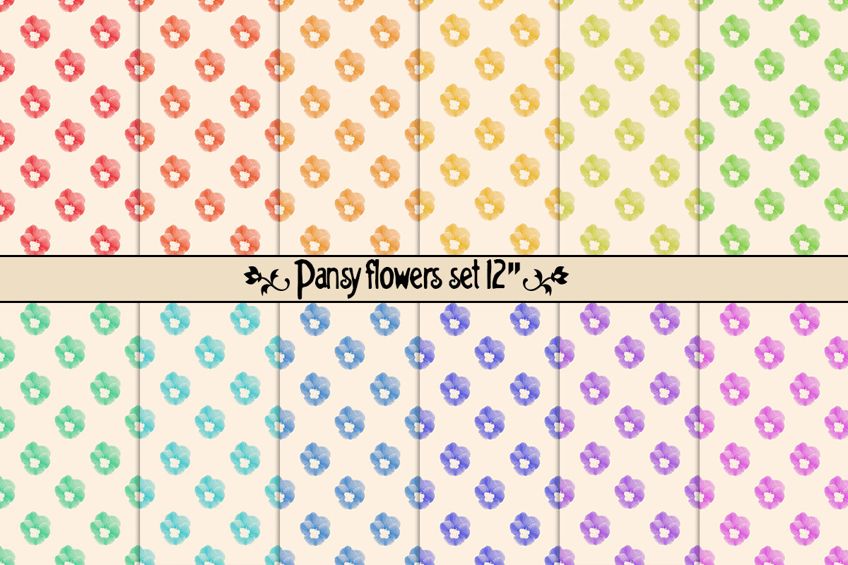 Pansy Flowers Set