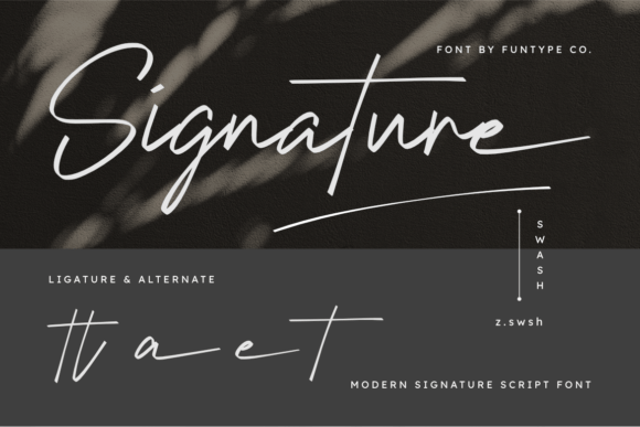 Selovina Signature Font PNG with transparent background - Preview 4