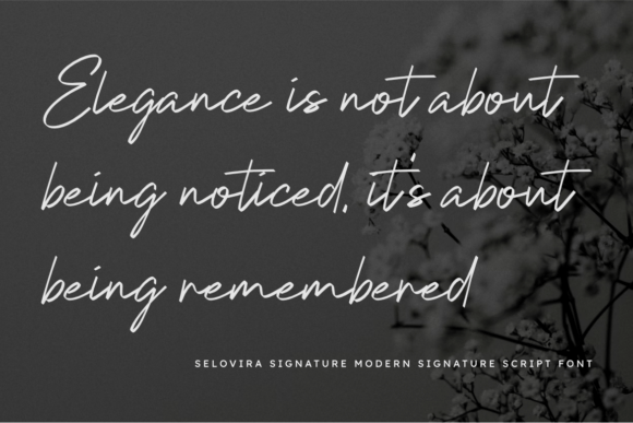Selovina Signature Font PNG with transparent background - Preview 6